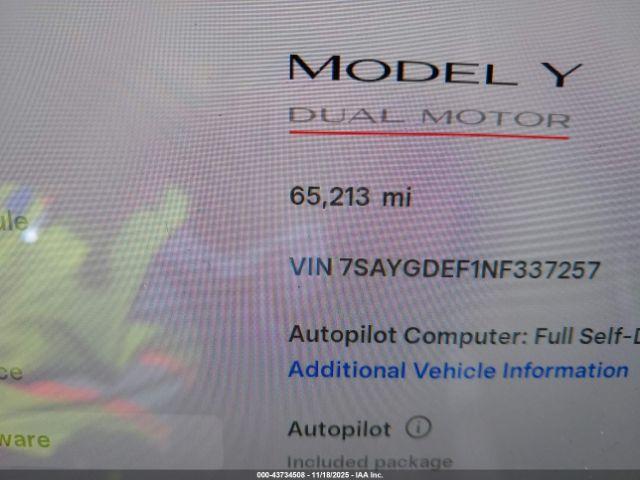 Tesla Model Y Performance Dual Motor All-wheel Drive Image 6