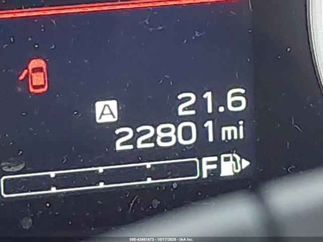 Subaru Forester Limited Image 12