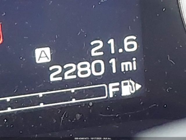 Subaru Forester Limited Image 4