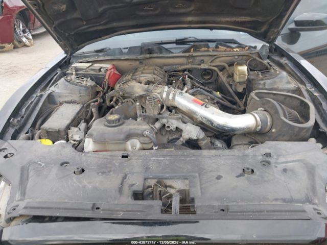 Ford Mustang V6 Image 15