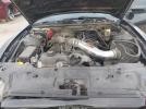 Ford Mustang V6 Image 15