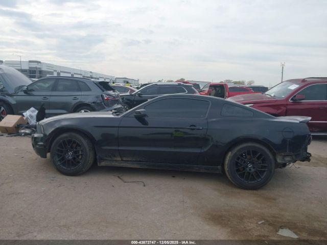 Ford Mustang V6 Image 6