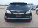 Lexus RX Image 15