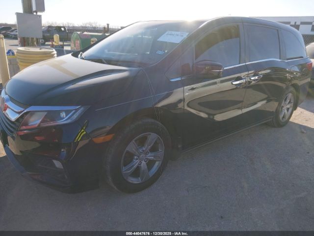 Honda Odyssey Image 3