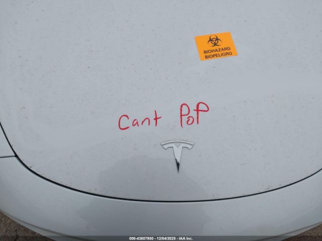 Tesla Model 3 Long Range Dual Motor All-wheel Drive Image 10