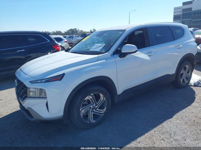 Hyundai SANTA FE Se Image 12