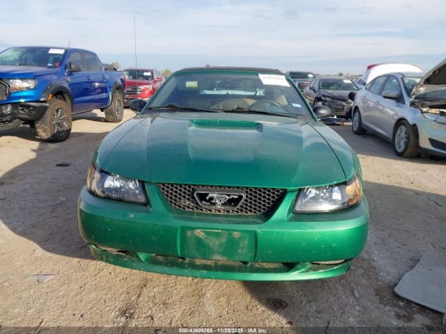 Ford Mustang Gt Image 11