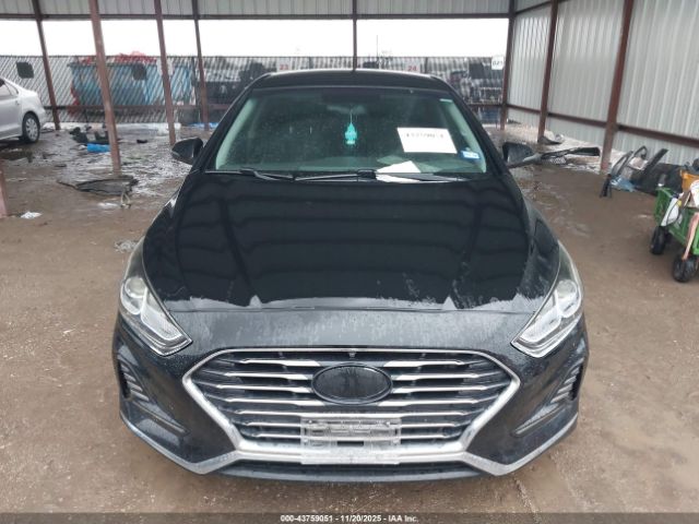 Hyundai SONATA Sel Image 7