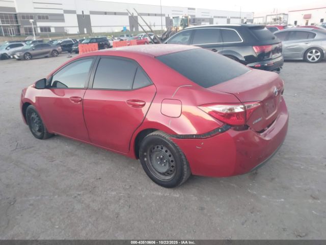 Toyota Corolla Le Image 6