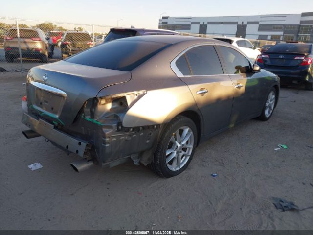 Nissan Maxima Image 3