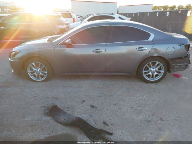 Nissan Maxima Image 13