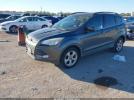 Ford Escape Se Image 6