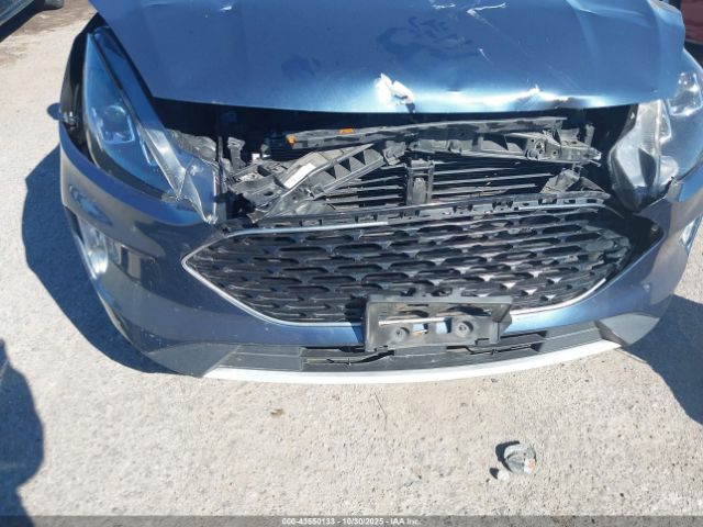 Ford Escape Sel Image 7