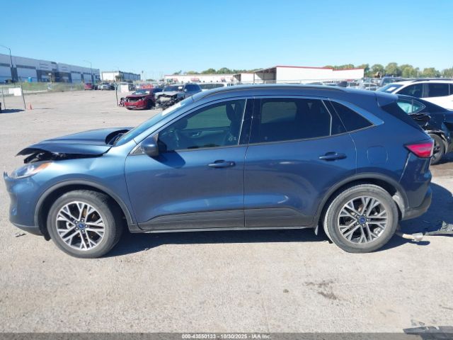 Ford Escape Sel Image 14