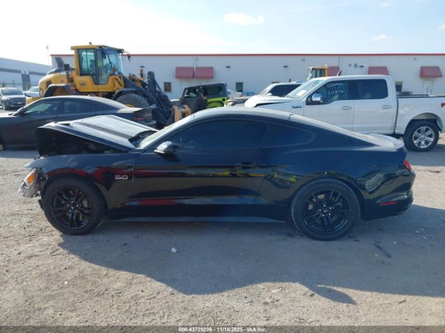 Ford Mustang Gt Image 2