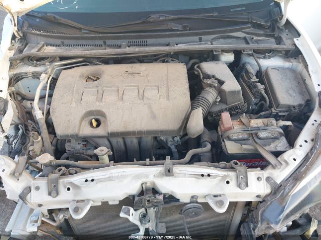 Toyota Corolla Le Image 7