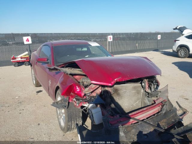 Ford Mustang V6 Premium Image 1