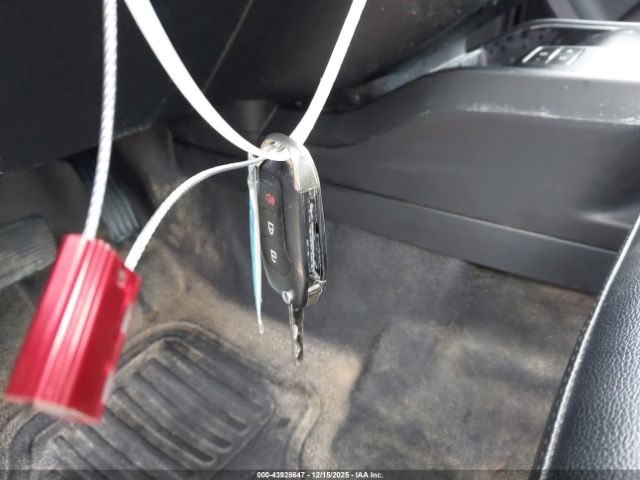 Ford Ranger Xl Image 7