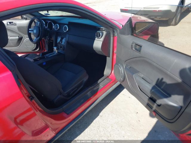 Ford Mustang Image 2