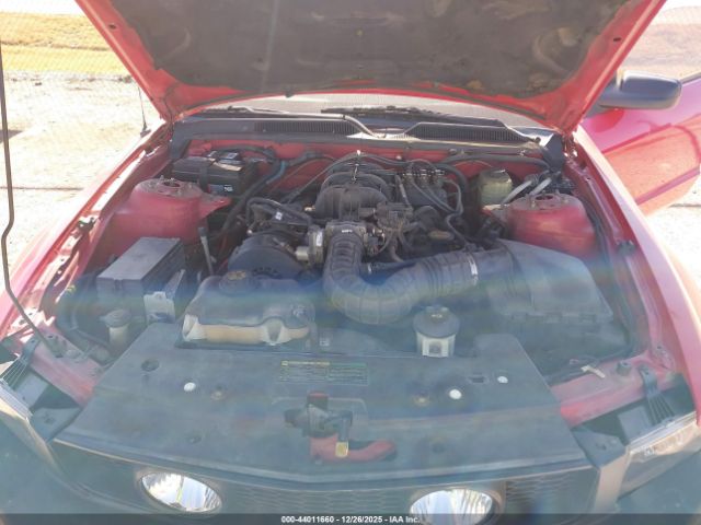 Ford Mustang Image 5