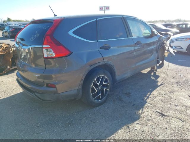 Honda CR-V Se Image 13