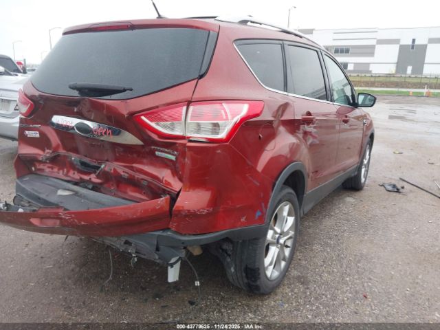 Ford Escape Titanium Image 5