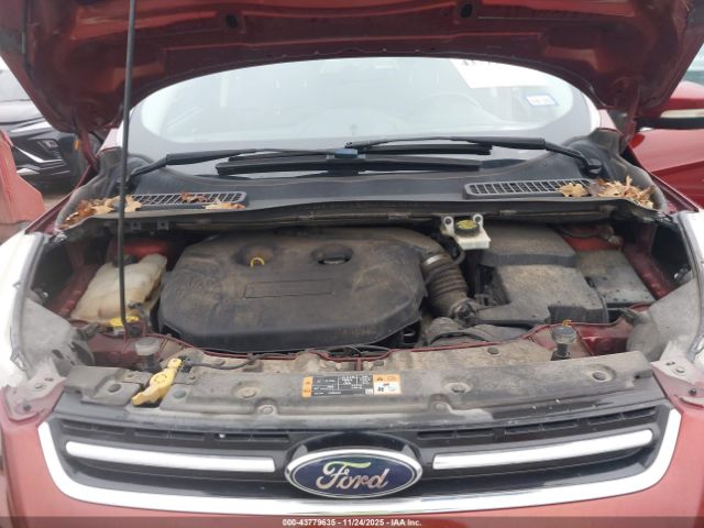 Ford Escape Titanium Image 9