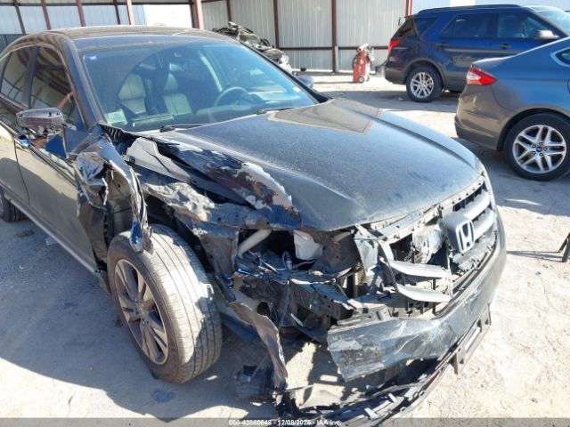 Honda Crosstour Ex-l V6 Image 6