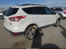 Ford Escape Se Image 8