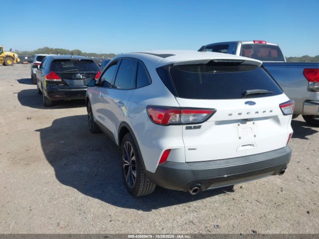 Ford Escape Se Image 14