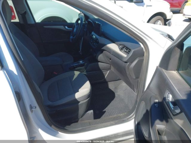 Ford Escape Se Image 10