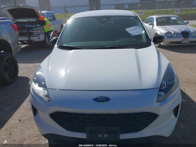 Ford Escape Se Image 8