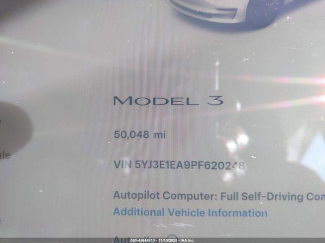 Tesla Model 3 Rear-wheel Drive Image 5